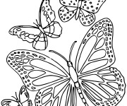 Coloriage et dessins gratuit Paysage de  Papillon en Ligne à imprimer