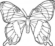Coloriage et dessins gratuit Papillon à découper à imprimer