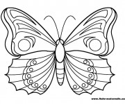 Coloriage et dessins gratuit Papillon Maternelle magnifique à imprimer