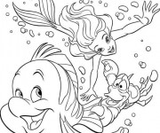 Coloriage et dessins gratuit Princesse Ariel et Sébastien nagent à imprimer