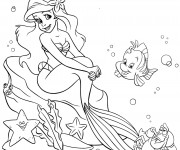 Coloriage Princesse Ariel et ses amis dans la Mer