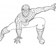 Coloriage et dessins gratuit Spiderman au crayon à imprimer