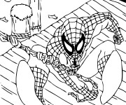 Coloriage Spiderman dessin animé