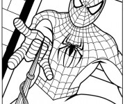 Coloriage et dessins gratuit Spiderman en couleur à imprimer