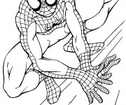 Coloriage Spiderman te regarde