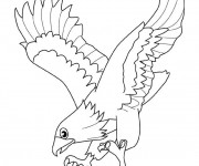 Coloriage et dessins gratuit Aigle qui ouvre ses ailes à imprimer