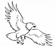 Coloriage et dessins gratuit Aigle vecteur à imprimer