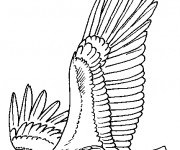 Coloriage et dessins gratuit Les ailes d'Aigle à imprimer