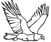 Coloriage et dessins gratuit Un Aigle royal au chasse à imprimer