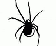 Coloriage Araignée en noir en ligne