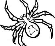 Coloriage et dessins gratuit Araignée en noir et blanc à imprimer