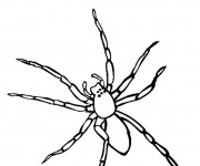 Coloriage et dessins gratuit Araignée facile à imprimer