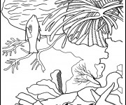 Coloriage et dessins gratuit Corail Plante marine à imprimer