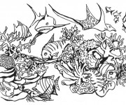 Coloriage et dessins gratuit Corail Poissons de mer en vecteur à imprimer