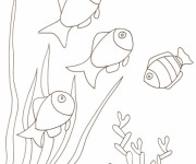 Coloriage et dessins gratuit Poissons nagent sur le Corail à imprimer