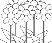 Coloriage et dessins gratuit Fleur à colorier à imprimer