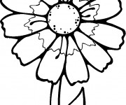 Coloriage Fleur Blanche
