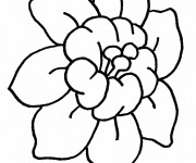 Coloriage Fleur de lotus stylisée