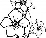 Coloriage Fleur en noir