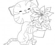 Coloriage Fleur et Chat
