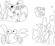 Coloriage Animaux Marins exotiques