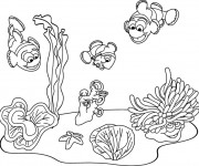 Coloriage Fond Marin poissons