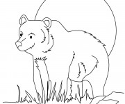 Coloriage et dessins gratuit Grizzly en plein air à imprimer