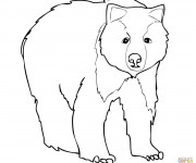 Coloriage et dessins gratuit Grizzly pour enfant à imprimer