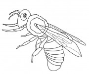 Coloriage Insecte