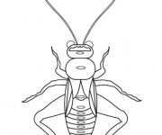 Coloriage et dessins gratuit Insecte stylisé à imprimer