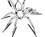 Coloriage et dessins gratuit Une petite Araignée à imprimer