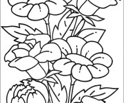Coloriage et dessins gratuit Des beaux fleurs à imprimer