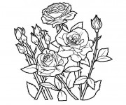 Coloriage et dessins gratuit Jardin Fleurs en couleur à imprimer