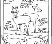 Coloriage et dessins gratuit Animaux dans la Forêt facile à imprimer