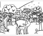 Coloriage et dessins gratuit Animaux de Forêt à imprimer