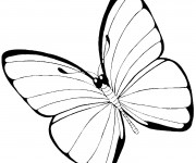 Coloriage Joli Papillon vecteur en noir