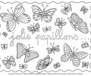 Coloriage Jolis Papillons