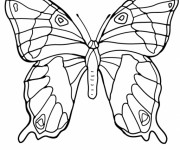 Coloriage et dessins gratuit Magnifique Papillon à découper à imprimer