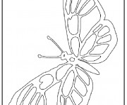 Coloriage et dessins gratuit Magnifique Papillon ouvrant ses ailes à imprimer
