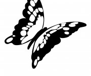 Coloriage Papillon magnifique en noir