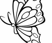 Coloriage et dessins gratuit superbe papillon vecteur à imprimer