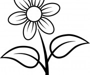 Coloriage Marguerite fleur