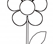 Coloriage et dessins gratuit modèle de Fleur Marguerite à imprimer