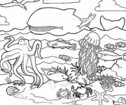 Coloriage et dessins gratuit Animaux Marins maternelle à imprimer