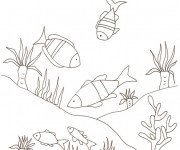 Coloriage et dessins gratuit Fond Marin plein de poissons à imprimer