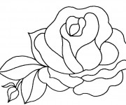 Coloriage et dessins gratuit Belle Rose à imprimer