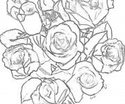 Coloriage Bouquet de Roses réaliste