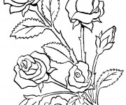 Coloriage et dessins gratuit Fleurs en couleur à imprimer