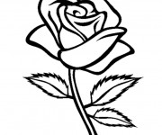 Coloriage et dessins gratuit Rose en noir à imprimer
