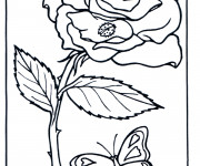 Coloriage et dessins gratuit Rose et Papillon à imprimer